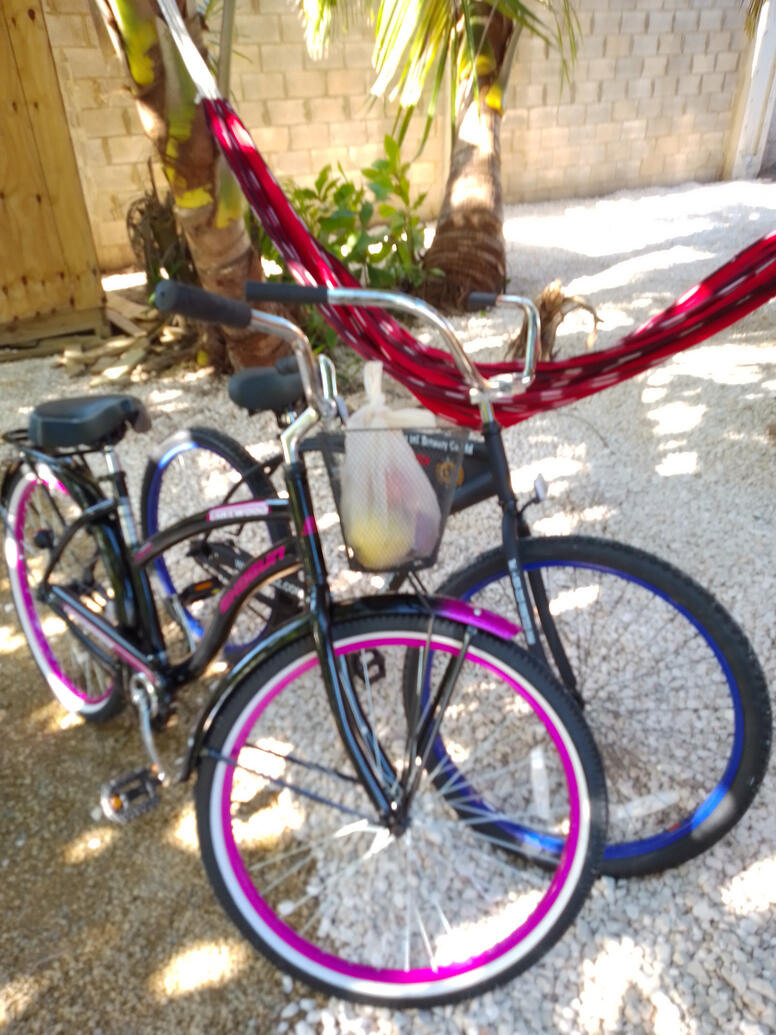 Bikes Bikes