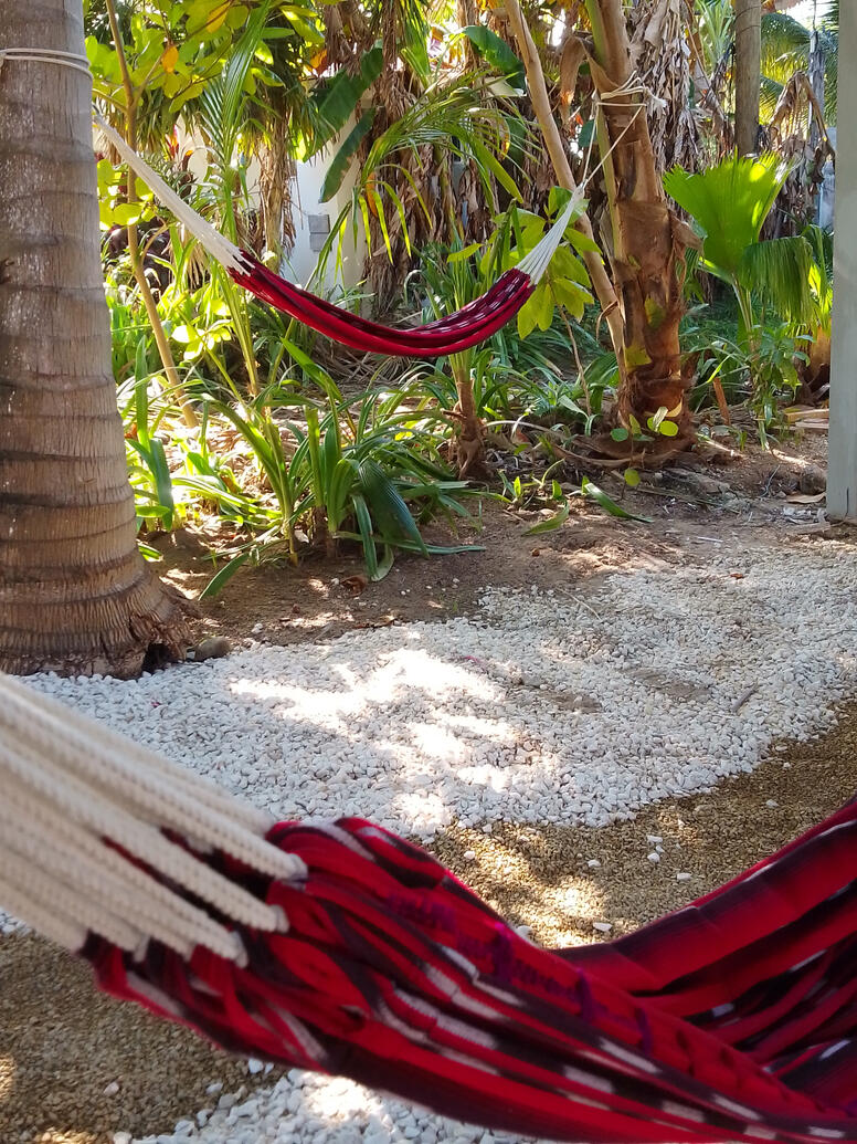 Hammocks