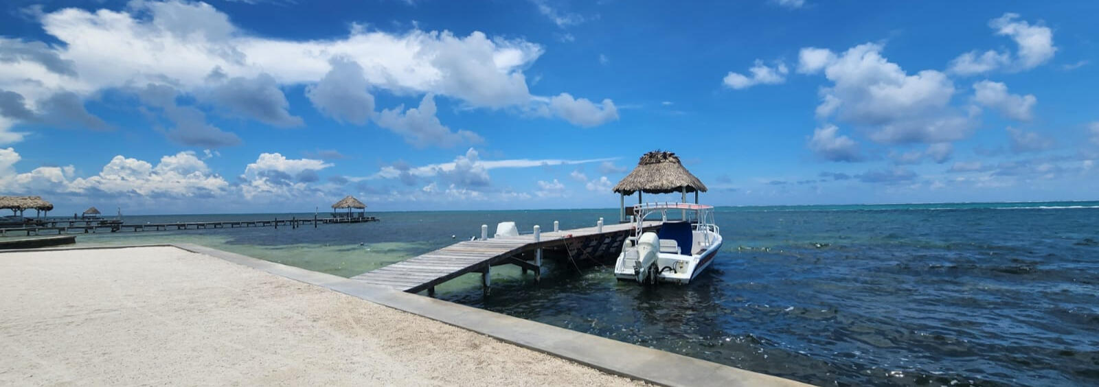Island Life Island Life
